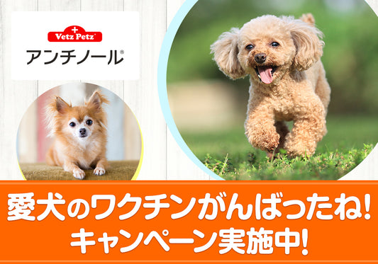 「愛犬のワクチンがんばったね!キャンペーン」実施中