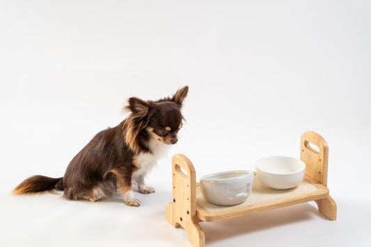 【獣医師監修】腎臓病の犬が食事で取り入れるべき栄養は?食べてはいけないものも紹介