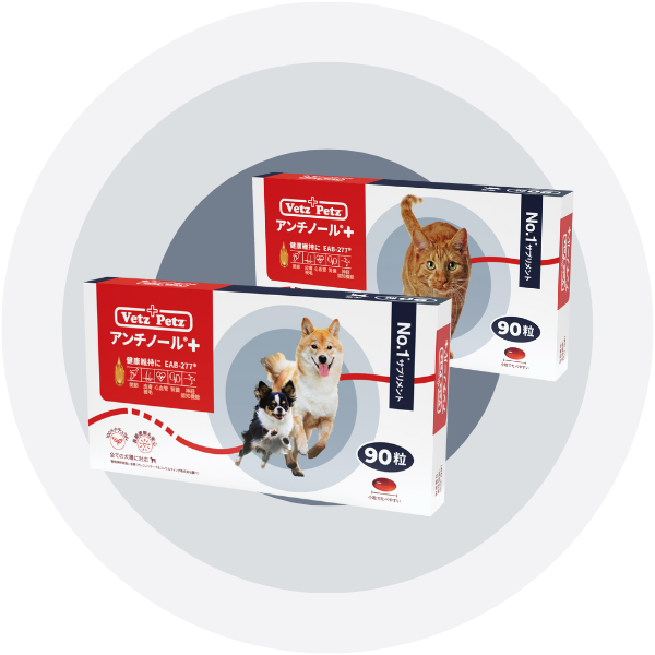 Vetz Petz アンチノールプラス 60粒 1箱 アンチノール® プラス発売と価格改定のお知らせ – ベッツペッツ