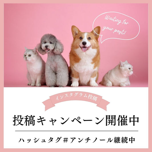 #アンチノール継続中 投稿キャンペーン