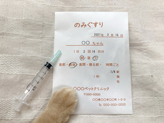 猫の薬の飲ませ方とは? 嫌がる場合の対処法も公開!