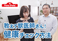 獣医師が解説!犬猫の『健康チェック方法』動画を公開