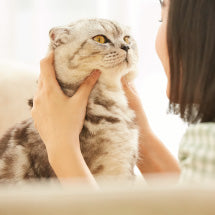アンチノール<sup>®</sup>で愛猫に健やかな毎日を