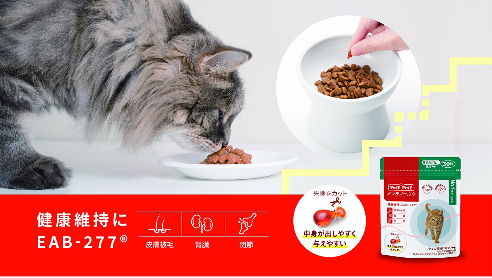 アンチノール プラス (簡単カプセル 猫用) 90カプセル catpicture.png?v=1686637213