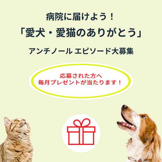 ねえ聞いて! ぼくたちのありがとう2024