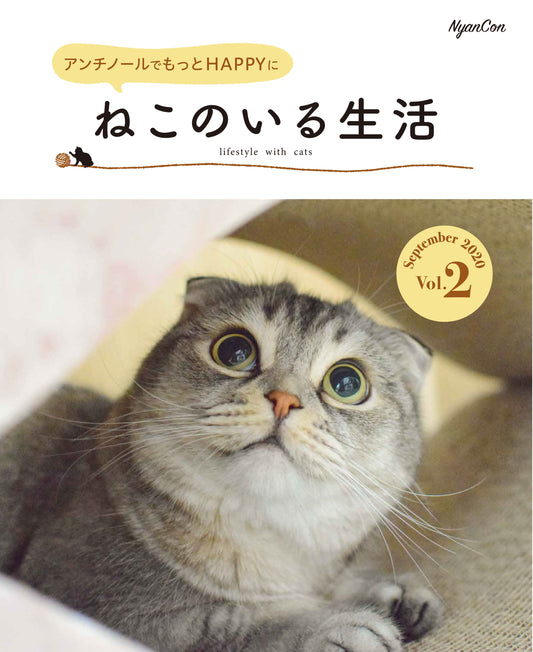 獣医師が解説！7歳からの猫のシニア期ケア: 腎臓病・関節炎・糖尿病の症状と対策