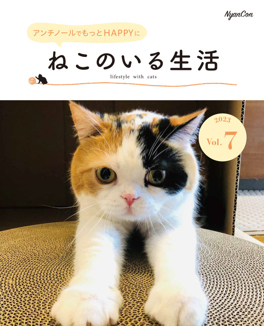 獣医師が解説!高齢猫の食事管理で気をつけることは?