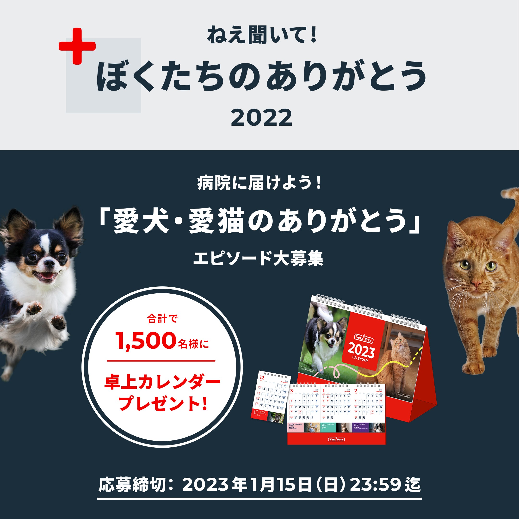 今年もやります！愛犬・愛猫の「ありがとう」エピソード大募集
