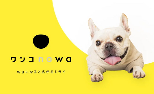 【メディア取材】「ワンコnowa」にアンチノール プラスが掲載されました!