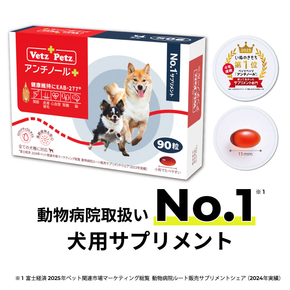 アンチノール プラス(犬用 サプリメント)