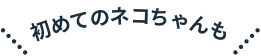初めてのネコちゃんも