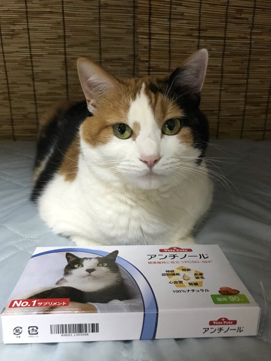 アンチノール (猫用)┃動物病院取扱いNo.1サプリメント – ベッツペッツ