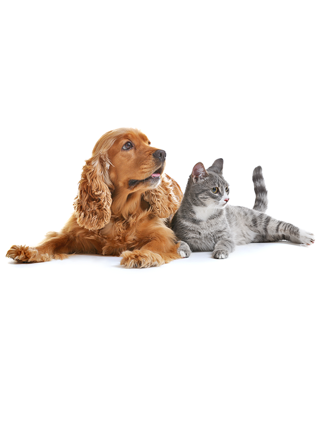 Pet Owner Products