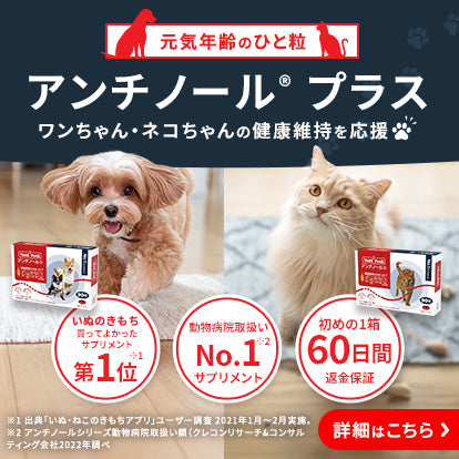 アンチノールプラス犬用品