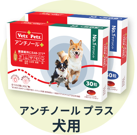 まめきちまめこさんのブログに紹介されました！ – ベッツペッツ公式サイト