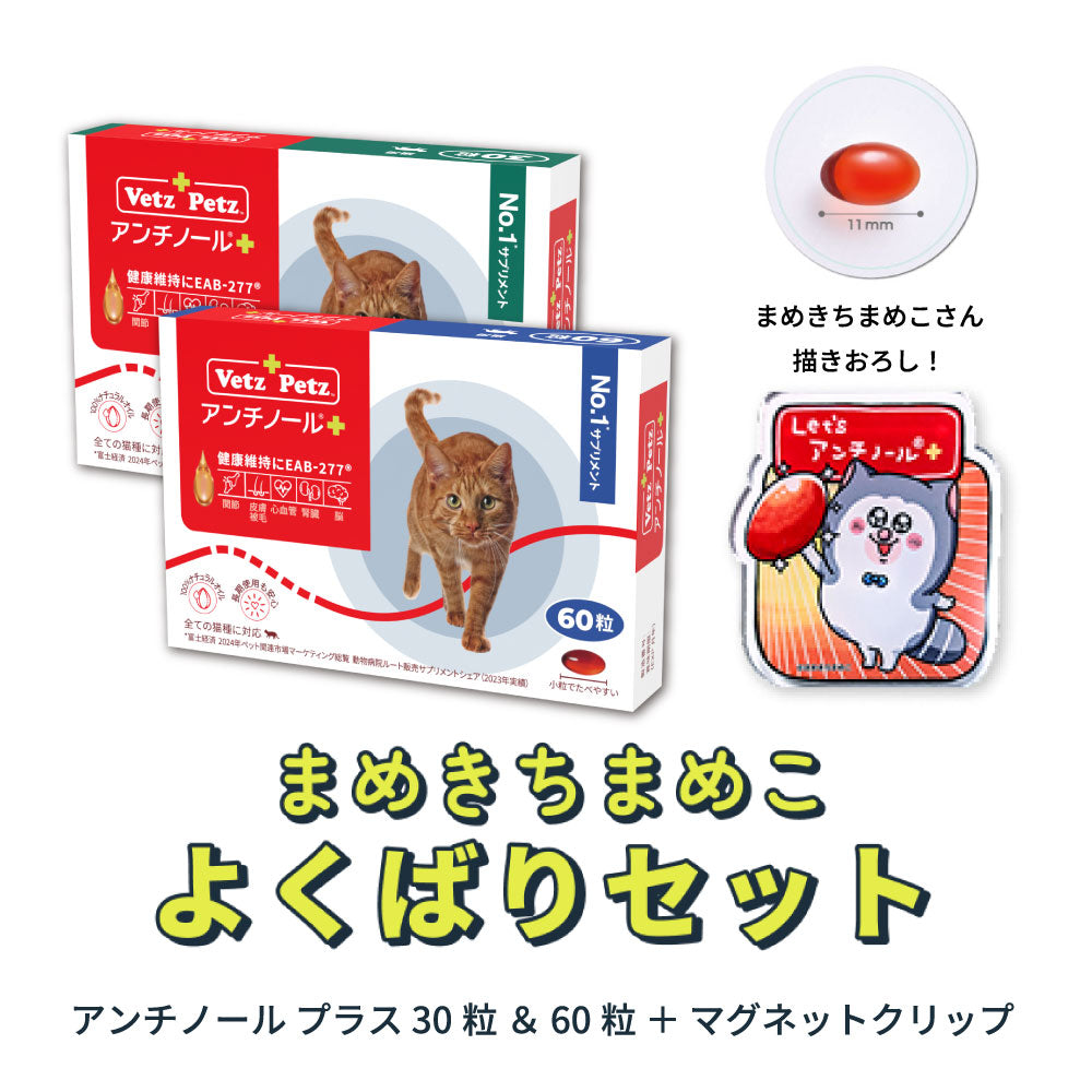 まめきちまめこさんのブログに紹介されました！ – ベッツペッツ公式サイト