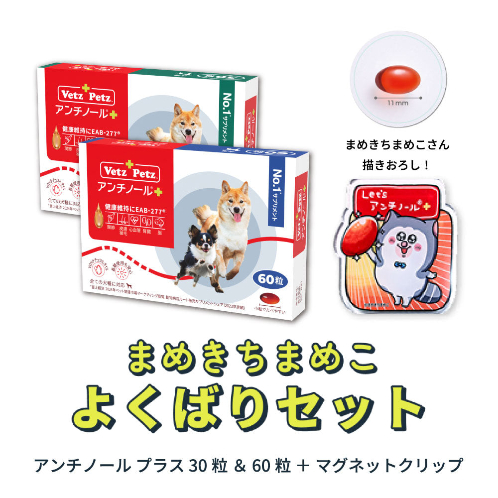 まめきちまめこさんのブログに紹介されました！ – ベッツペッツ公式サイト