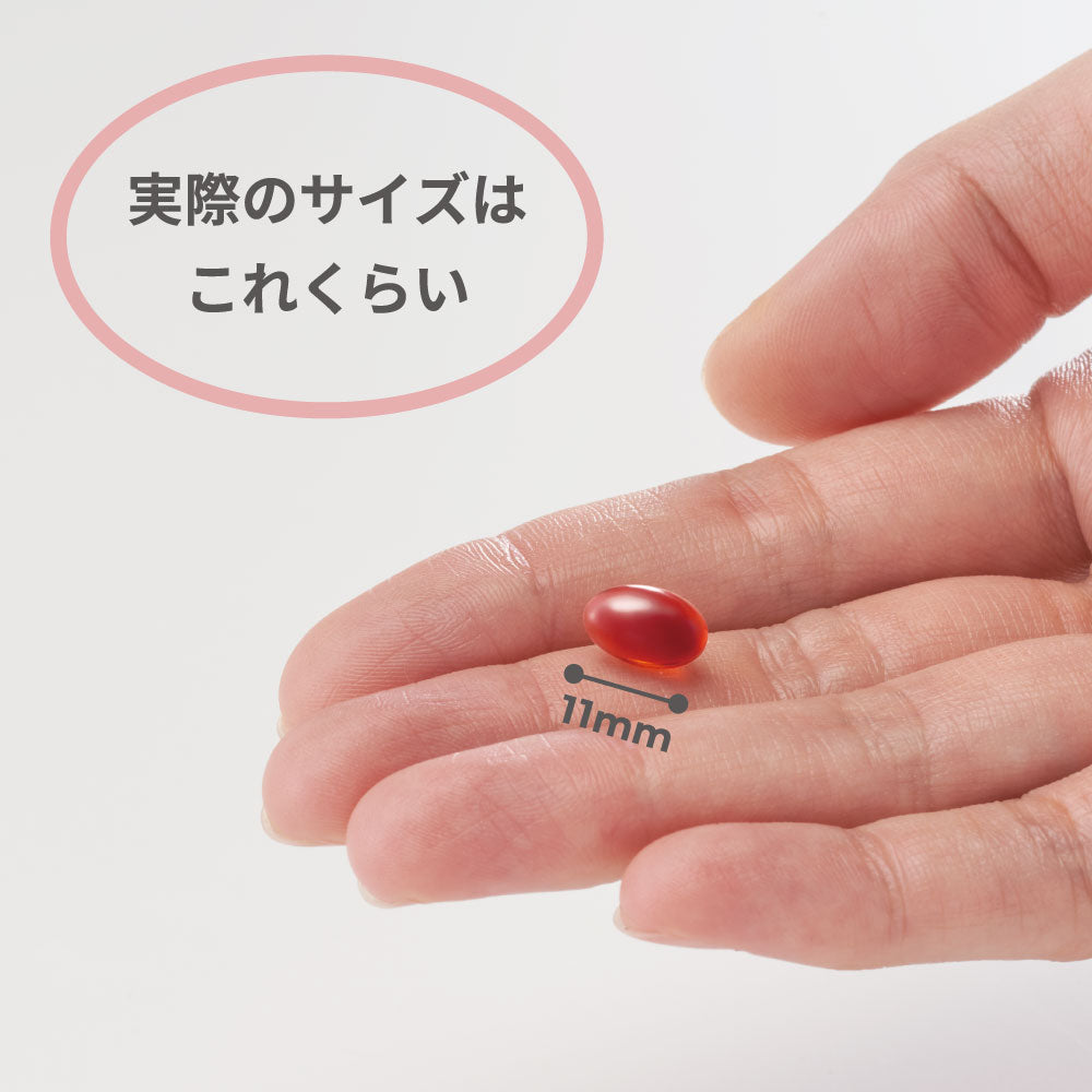 0歳からのアンチノールプラス 15日分増量セット(小型犬用)