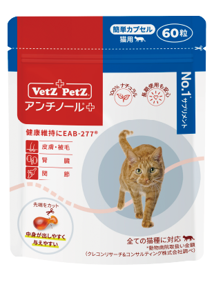 猫用 アンチノール Vetz90粒×2箱
