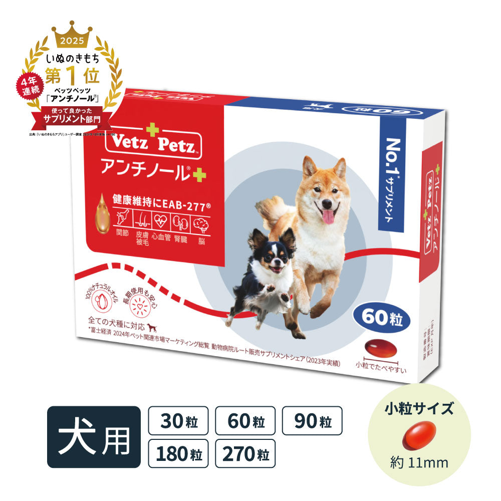 アンチノール プラス(犬用 サプリメント)