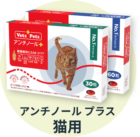 まめきちまめこさんのブログに紹介されました！ – ベッツペッツ公式サイト