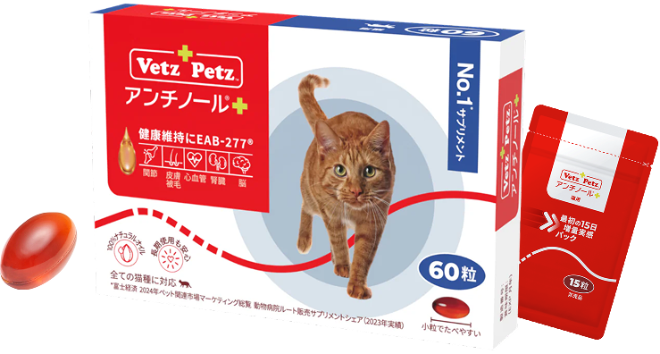 アンチノール 60カプセル入り2箱 アンチノール 犬用 アンチノールプラス ×2