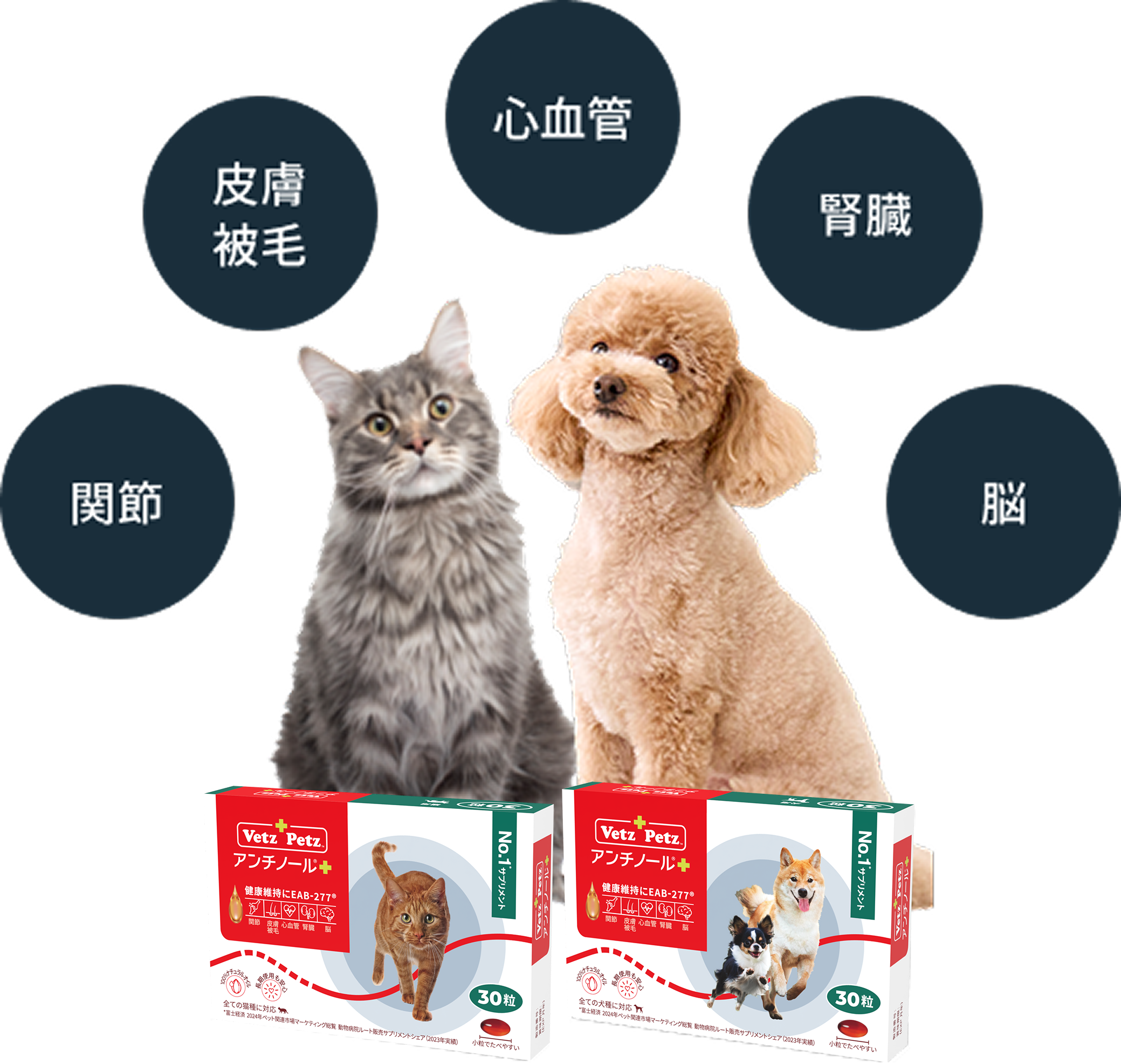 アンチノールプラス 90粒 犬用 【公式通販】