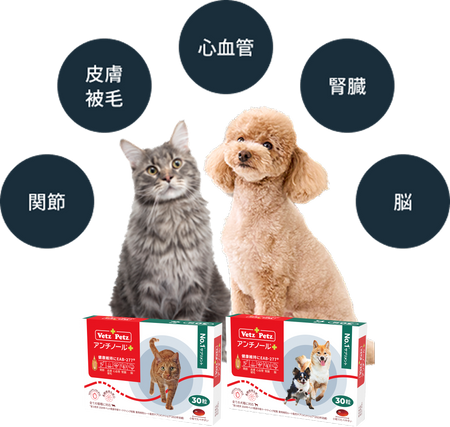 アンチノール<sup>®</sup> プラスとは