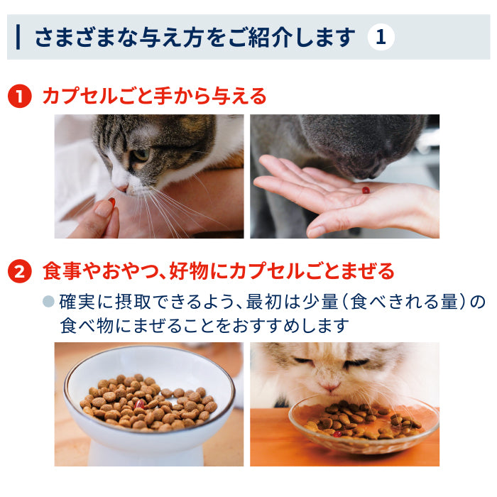 猫用品アンチノールプラス 83粒 猫用 - 猫用品