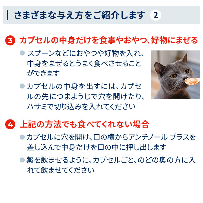 猫のサプリメント【アンチノール プラス】– ベッツペッツ公式サイト