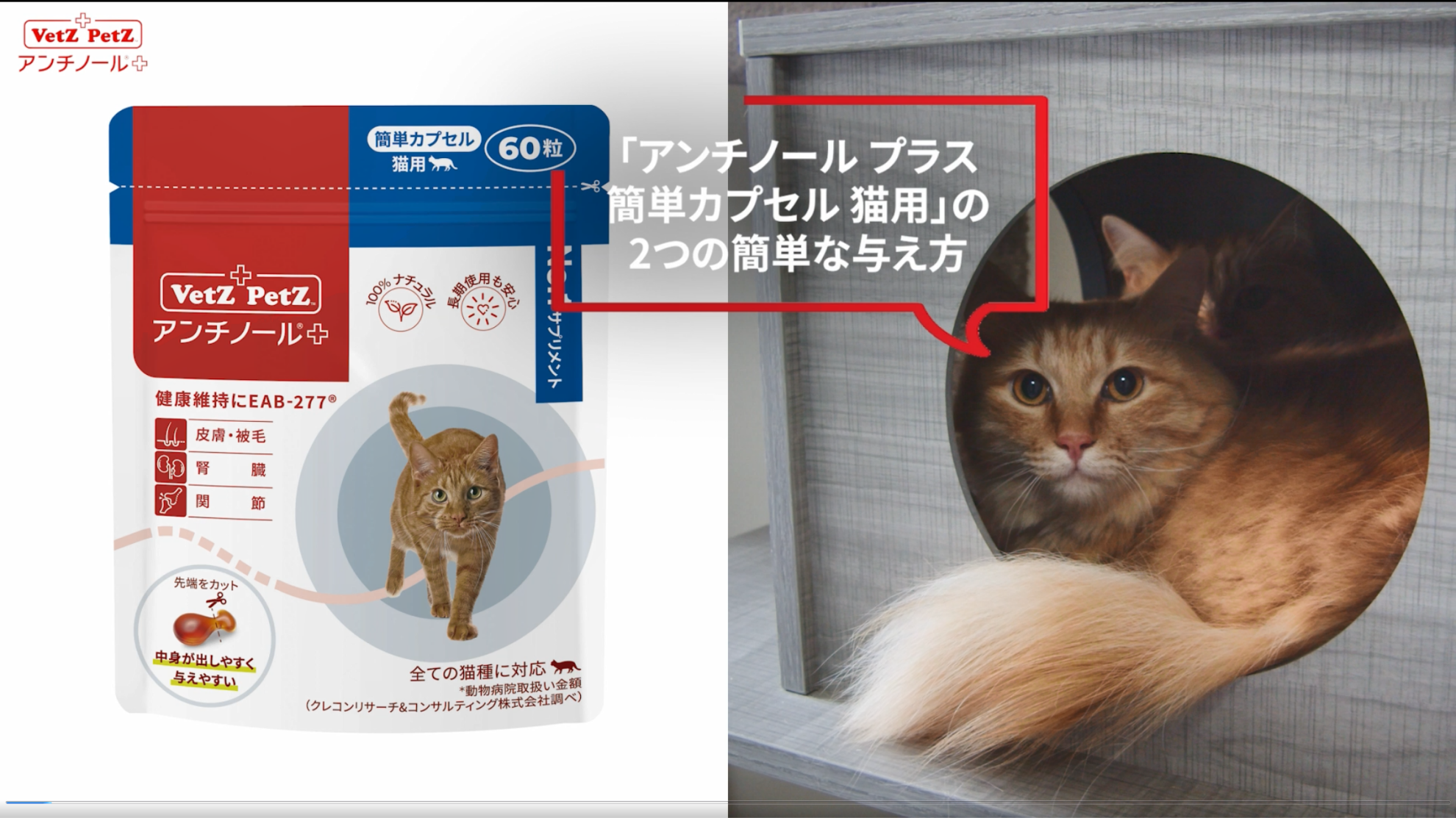 アンチノール＋ 猫用 60粒入り - 猫用品