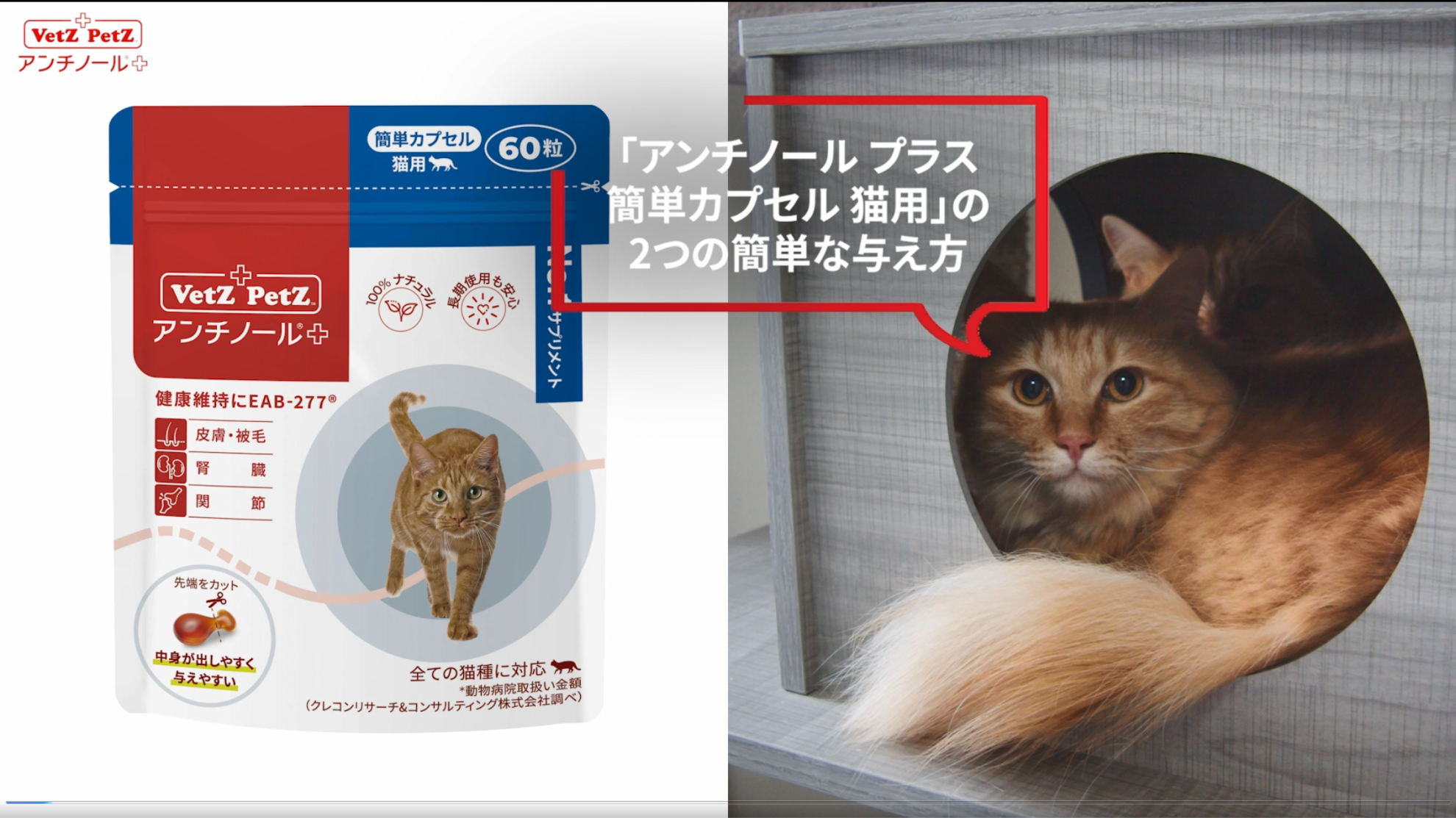 アンチノール プラス(簡単カプセル 猫用サプリメント) – ベッツペッツ