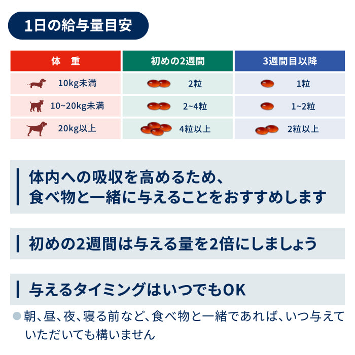 60日スターターキット（小型犬用）