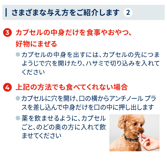 新作限定品犬用アンチノール 60粒 4箱 犬