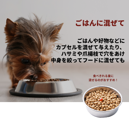 初回購入特典】60日スターターキット(犬用サプリメント 初回購入特典】60日スターターキット(犬用サプリメント