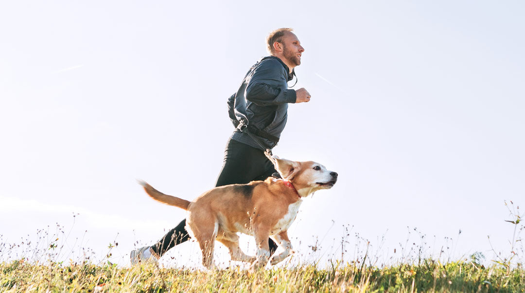 犬のサプリメント【アンチノール プラス】– ベッツペッツ公式サイト 犬のサプリメント【アンチノール プラス】– ベッツペッツ公式サイト