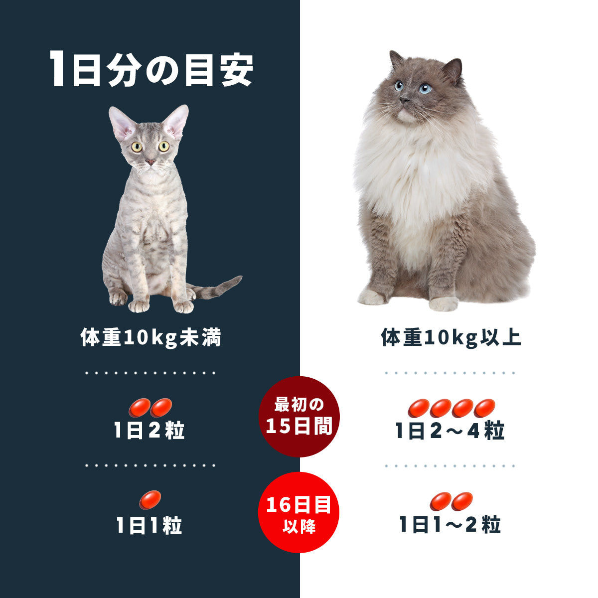 猫のサプリメント【アンチノール プラス】– ベッツペッツ公式サイト