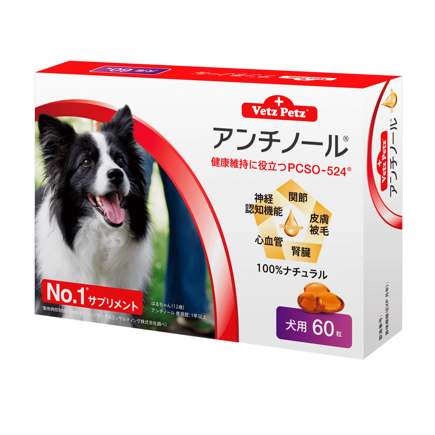 アンチノール (犬用)┃動物病院取扱いNo.1サプリメント – ベッツペッツ