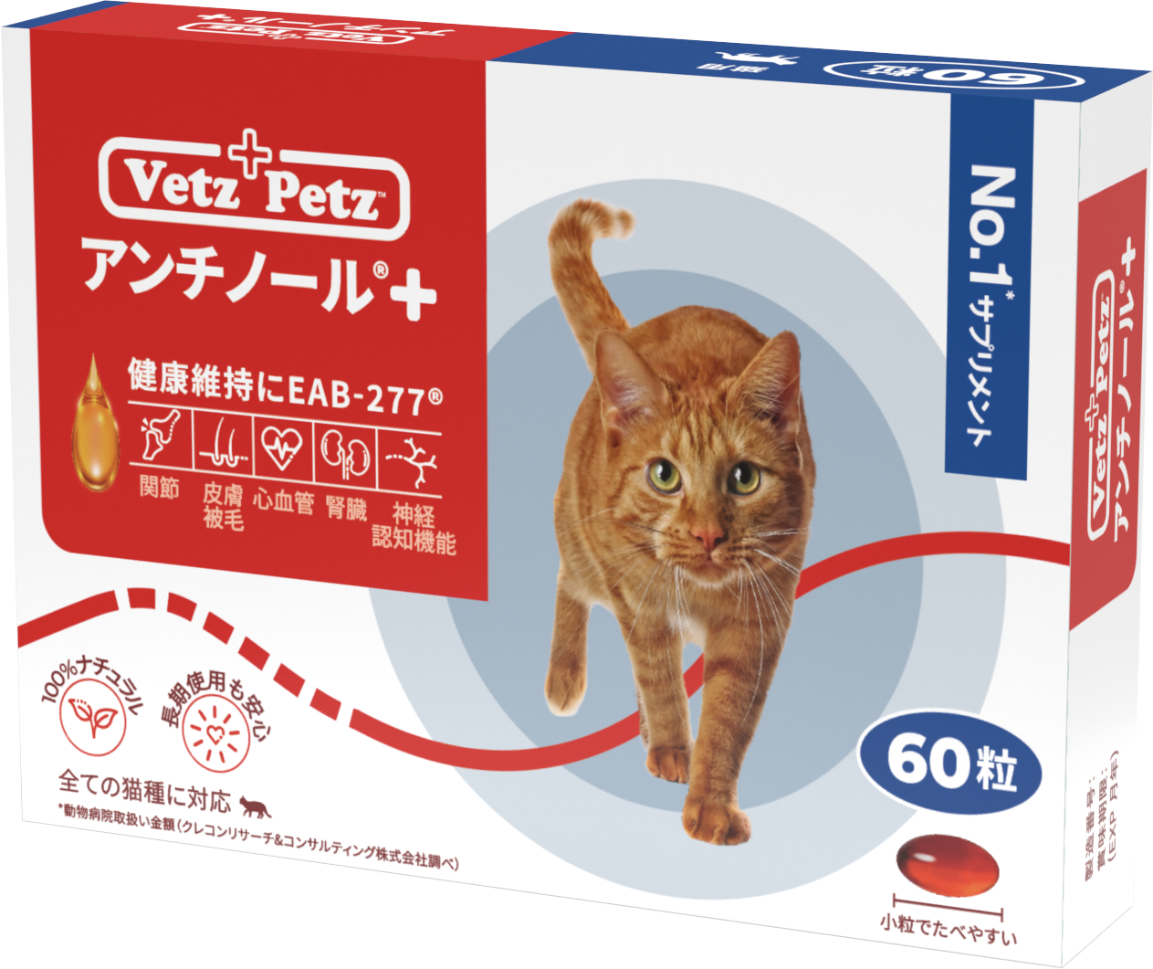 Antinol__3D_CAT_60_220907_9c6e Antinol__3D_CAT_60_220907_9c6e