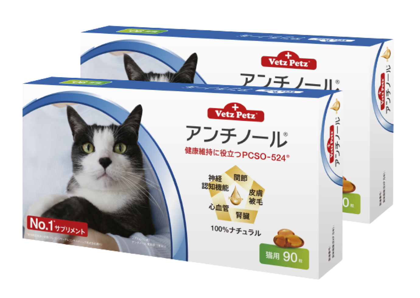 アンチノール (猫用)┃動物病院取扱いNo.1サプリメント – ベッツペッツ