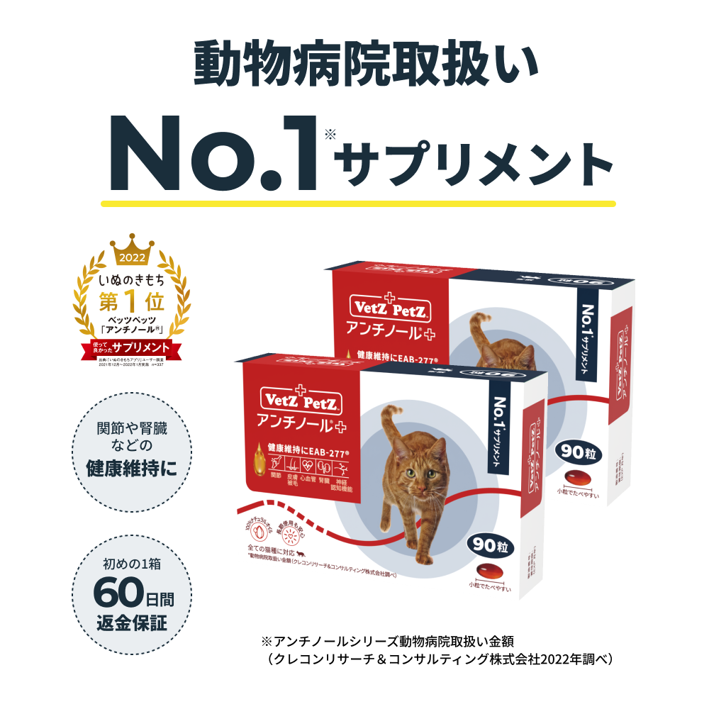 vetz petz アンチノール猫用計162粒 vetz petz アンチノール猫用計162粒