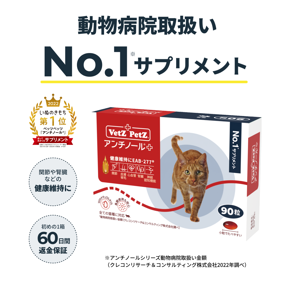 格安人気格安人気アンチノール プラス 猫用 90粒 1箱 猫用品 | www