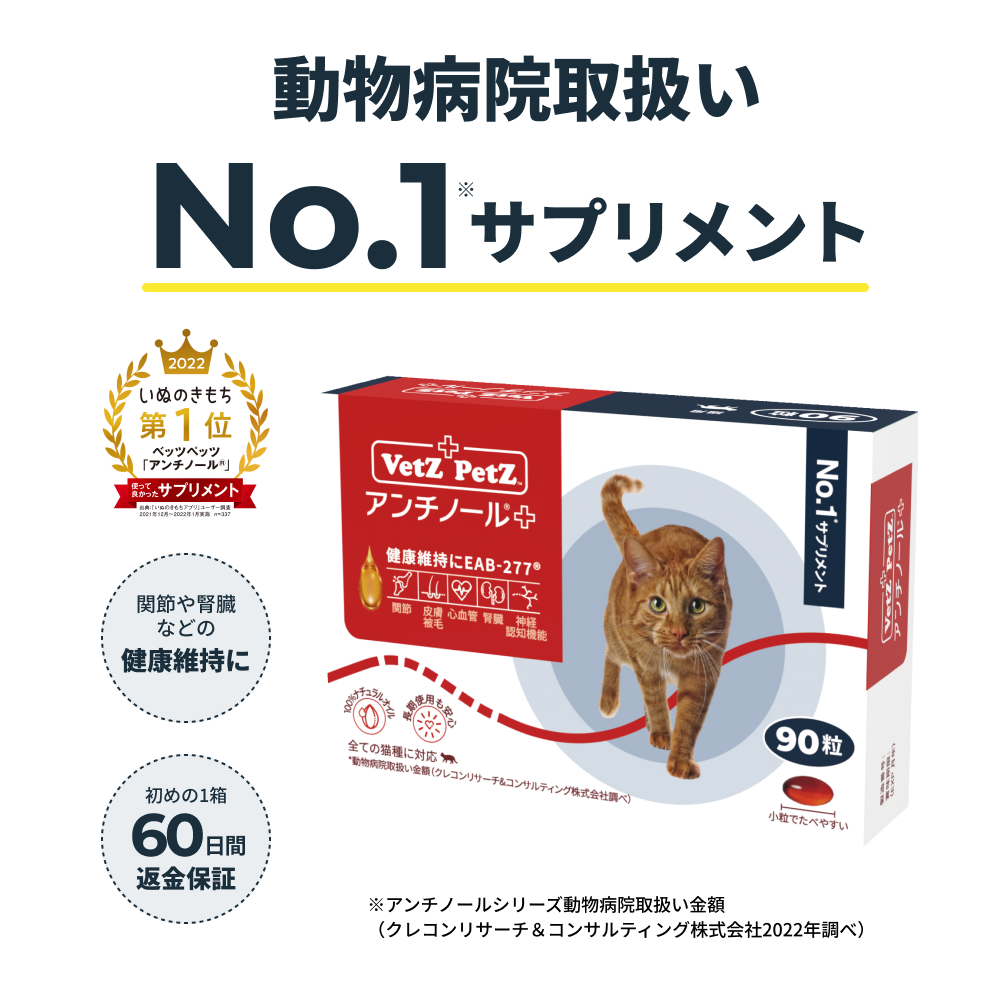 アンチノール 猫用 90粒 - 通販 - flnaacp.com