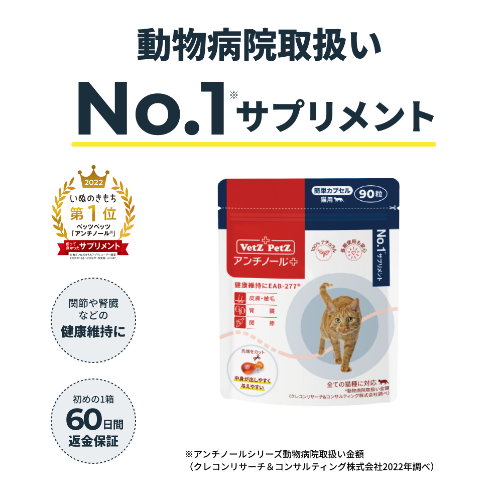 猫用 アンチノール Vetz90粒×2箱