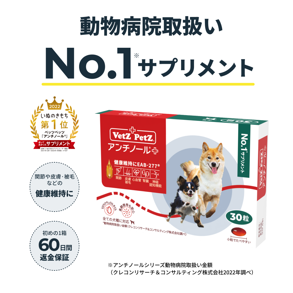 アンチノール　犬用　VetzPetz 30粒　2箱