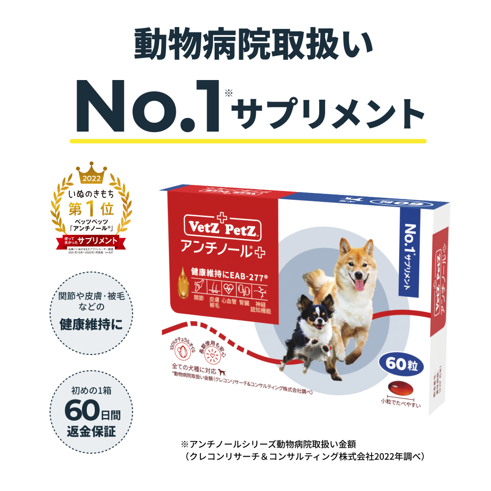 VetZ PetZ アンチノールプラス60粒2箱 VetZ PetZ アンチノールプラス60粒2箱