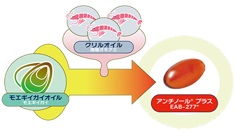 antinol-commitment02-2