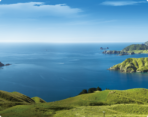 antinol-commitment04-1