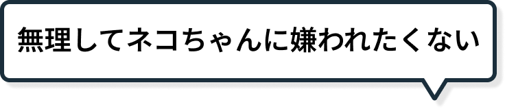 無理してネコちゃんに嫌われたくない